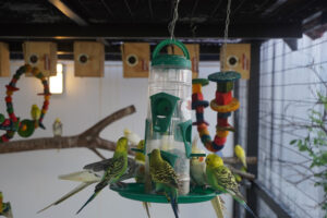 alcoholtreatmentcentreinindia-300x200