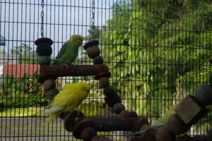 alcoholtreatmentcentreininkerala-300x200