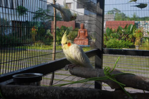 alcoholtreatmentcentreintamilnadu-300x200