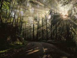 lotusrehabcoimbatore