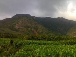 luxuryrehabinpollachi